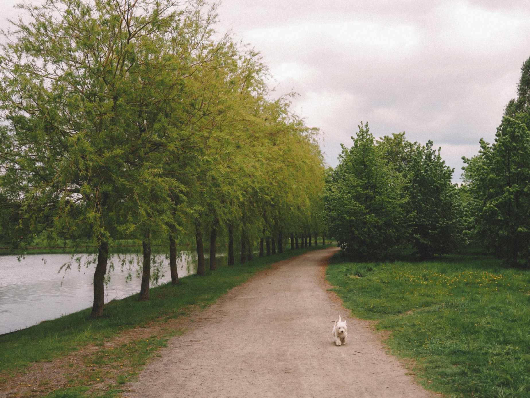 Ravineside Commons canal trail